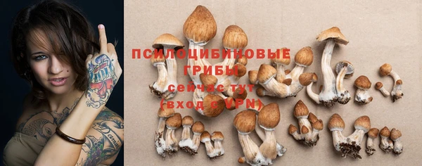 стафф Волоколамск