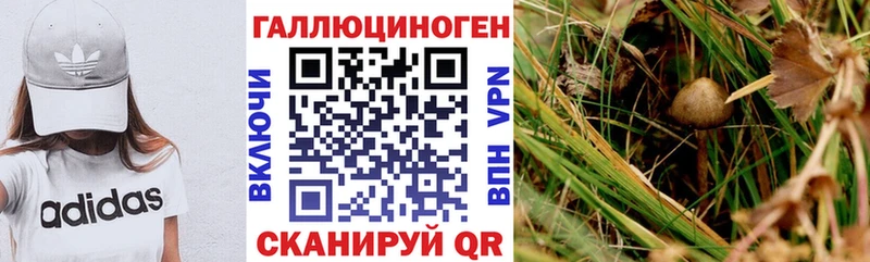 Галлюциногенные грибы ЛСД  Вичуга 